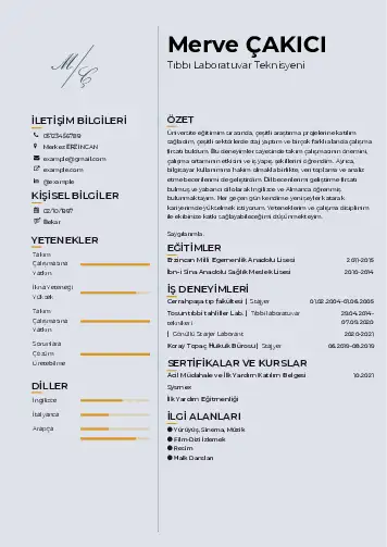 Laboratuvar Teknisyeni Cv Örnekleri cv indir